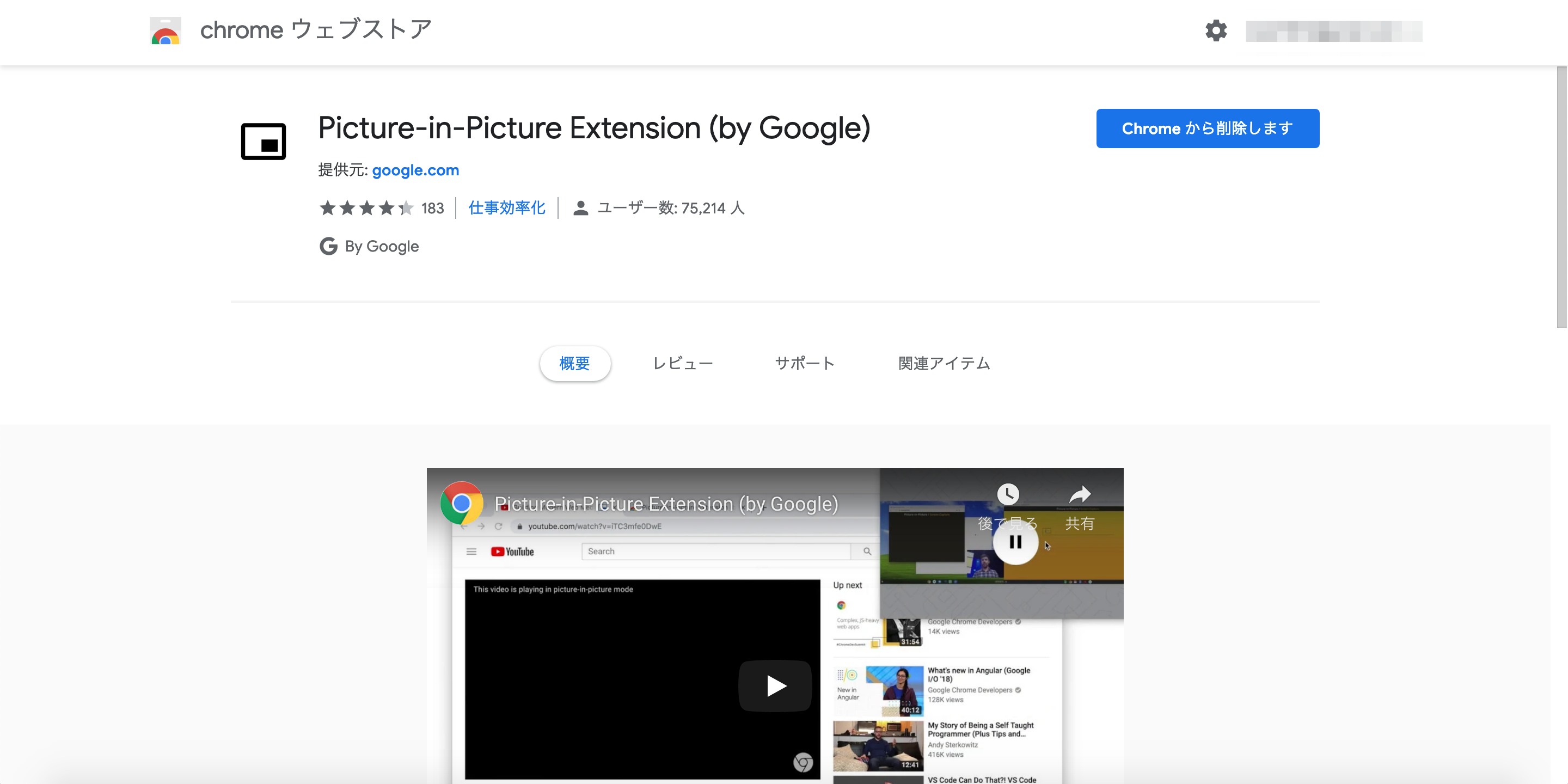 picture in picture extension by google